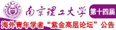 免费黄片男捅女南京理工大学第十四届海外青年学者紫金论坛诚邀海内外英才！